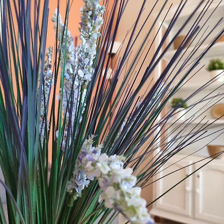 Apartamento 6 De Mayo Ronda Ngoại thất bức ảnh